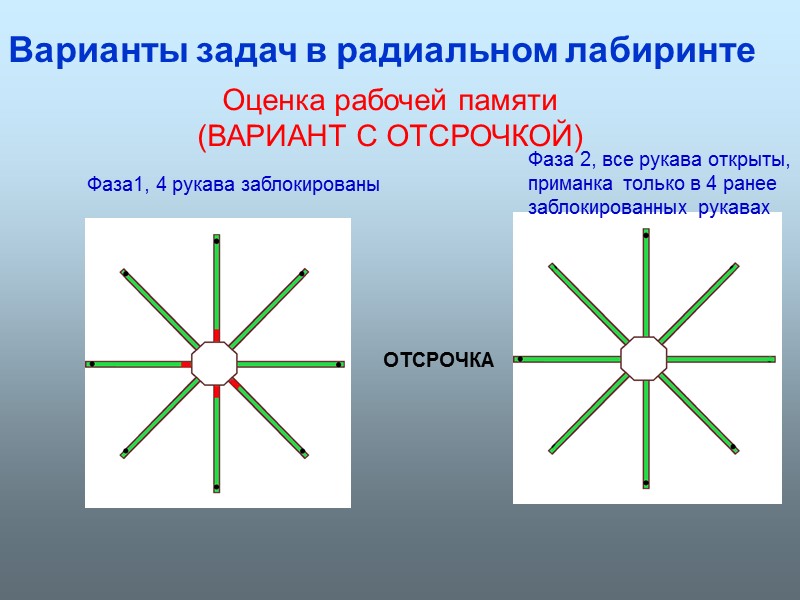 Оценка рабочей памяти (ВАРИАНТ С ОТСРОЧКОЙ) Варианты задач в радиальном лабиринте ОТСРОЧКА Фаза1, 4